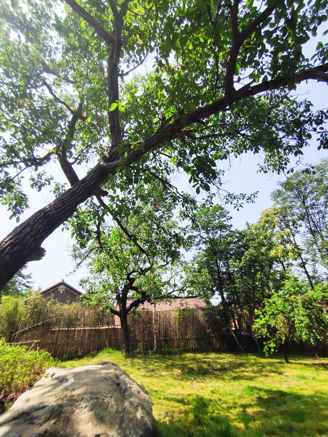 品国学经典感受河洛文化,品河洛文化和赏静美山水