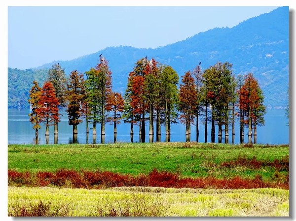 余姚四明湖开元山庄,余姚四明湖开元山庄自驾游