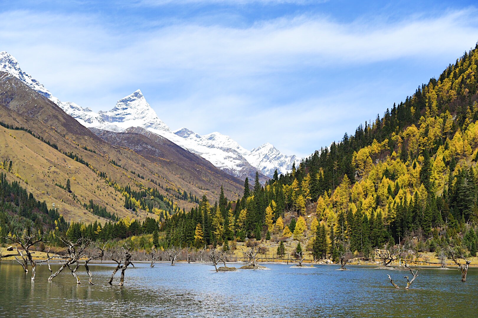成都周边秋天美到极致的秋色,成都近郊游最美秋色