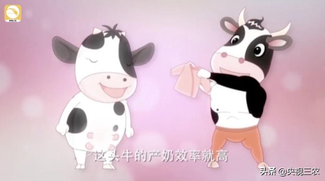 牛粪别扔，这么处理还有国家补贴