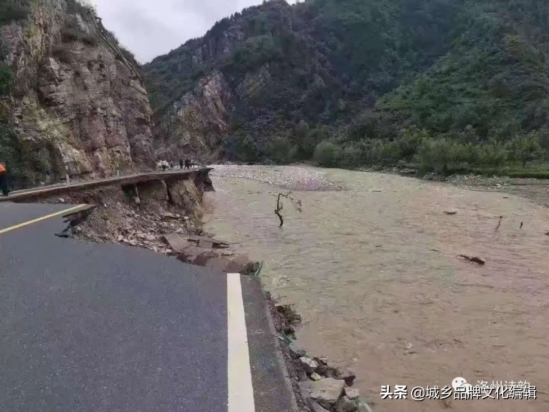 《洛州诗韵》抗洪救灾专辑