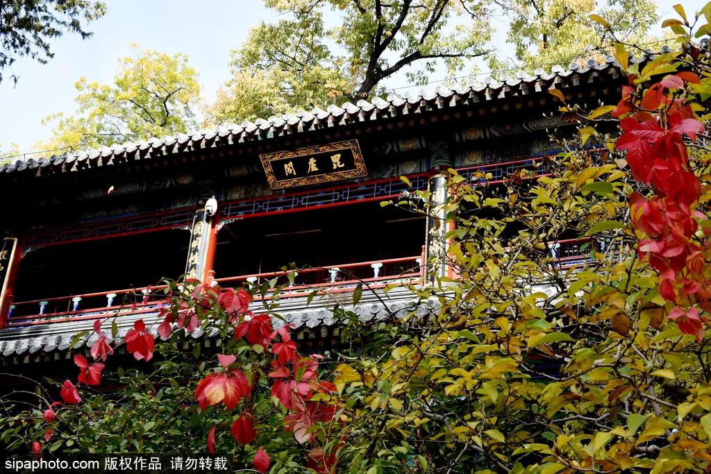 安排一日游攻略,安排旅游必去景点