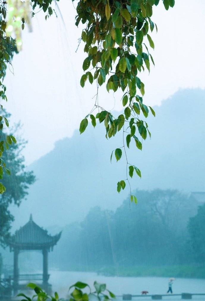 燕子来时细雨漫天风满楼,燕子来时细雨满天