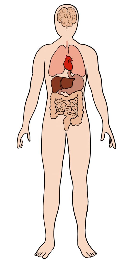 正品护肤品秒杀抗皱纹的护肤品,秒杀高档护肤品