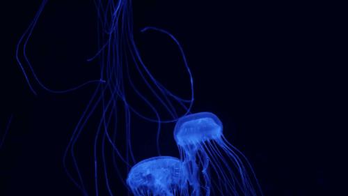 甯曞姵姘存瘝婀栫殑姘存瘝鍙互鎽稿悧,甯曞姵姘存瘝杩樿兘鎶撳悧