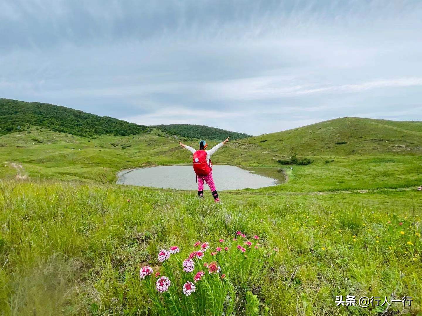 华北最大的亚高山草甸圣王坪,华北最大的亚高山草甸