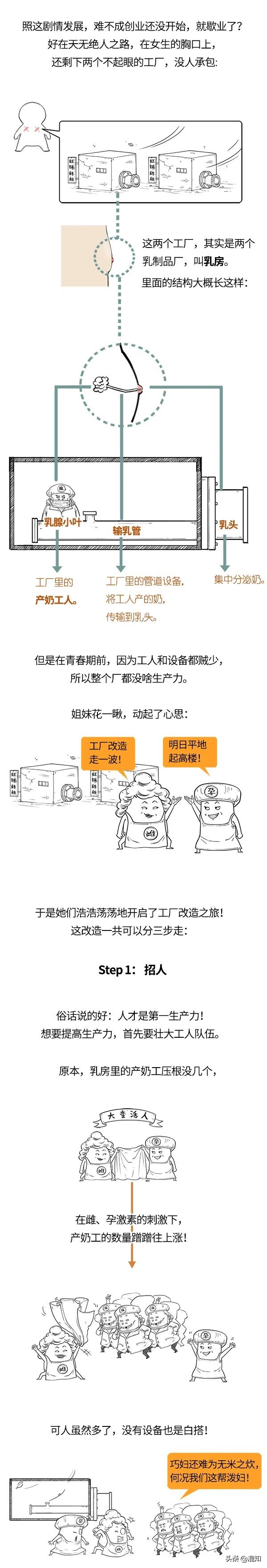 胸部发育了解,关于胸部发育的小知识