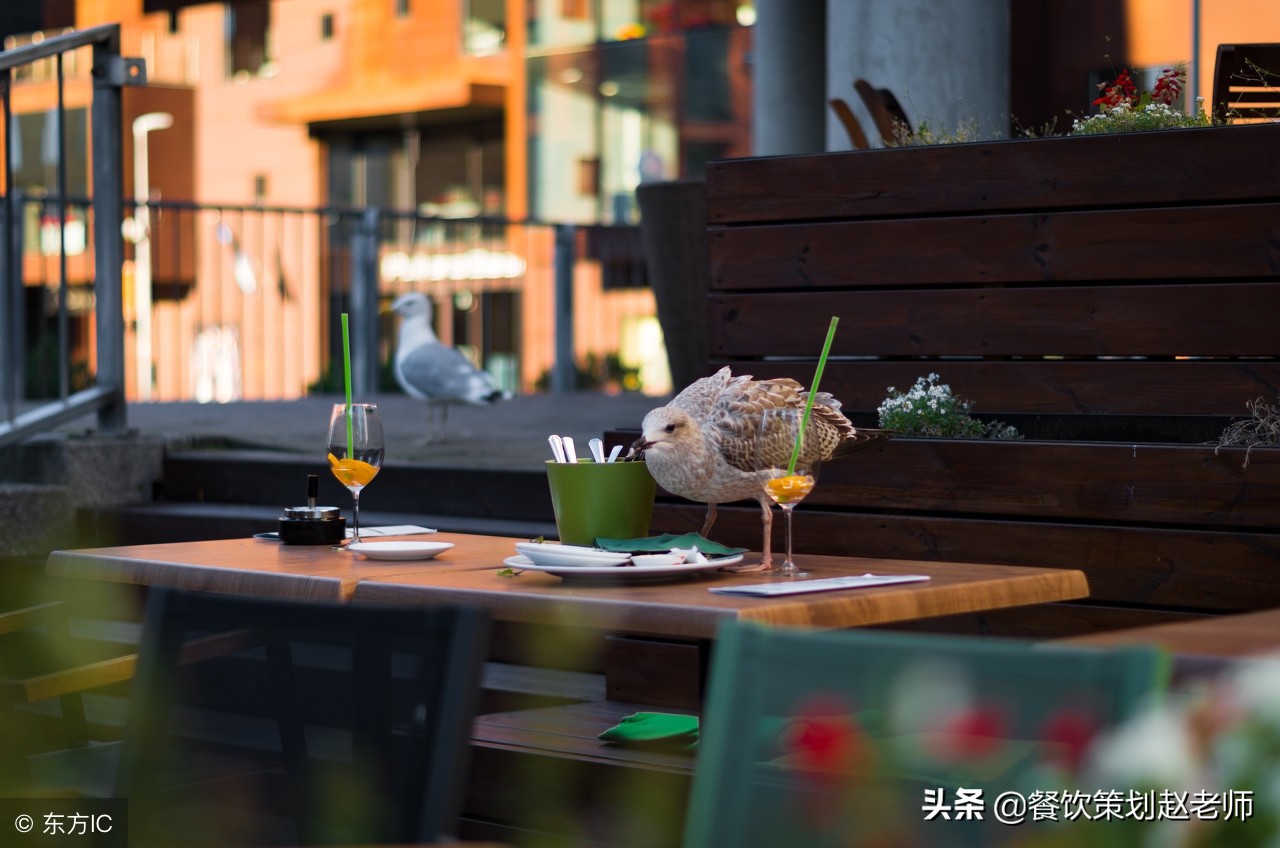 怎样开一个咖啡馆创业项目,如何开一家咖啡店流程视频