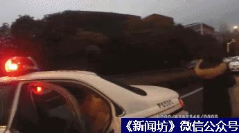 上海妈妈带着二宝打网约车接大宝，结果把二宝丢了……完了！是人贩子？