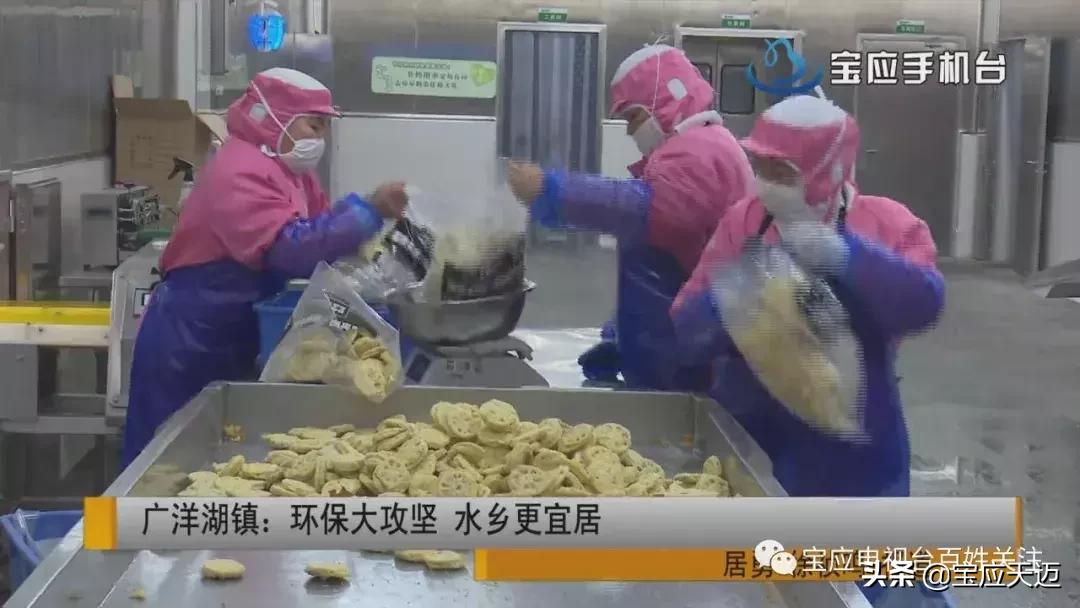 宝应广洋湖规划图,宝应射阳湖镇环保