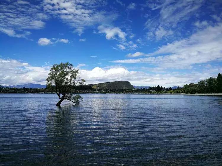 新西兰南岛有哪些城镇的湖,新西兰姊妹湖在哪里