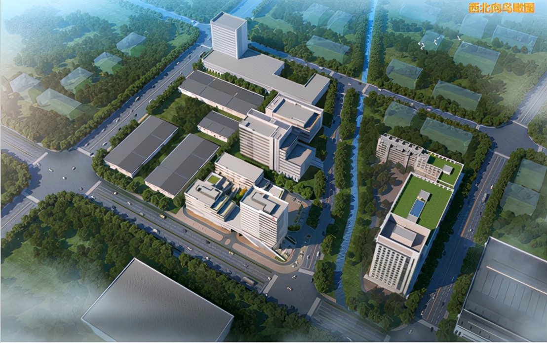 福胶集团福牌阿胶,福胶集团怎么样