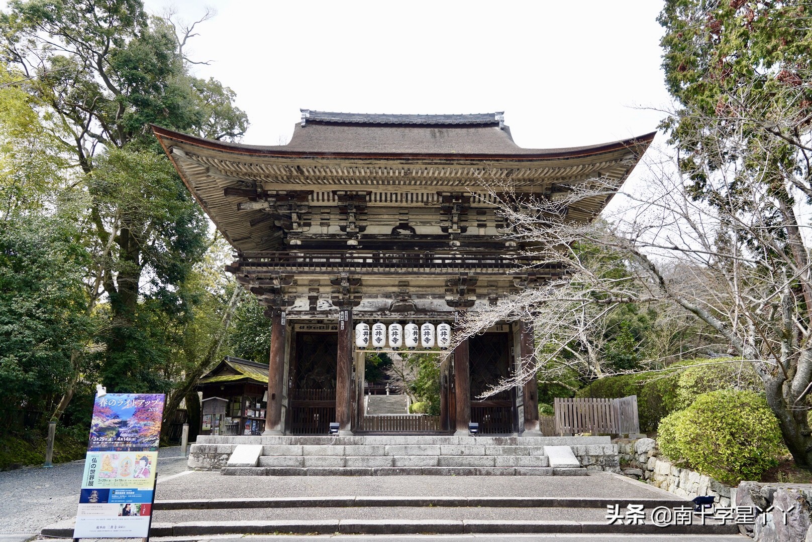 这个樱花季,造访SKII神仙水的水源地