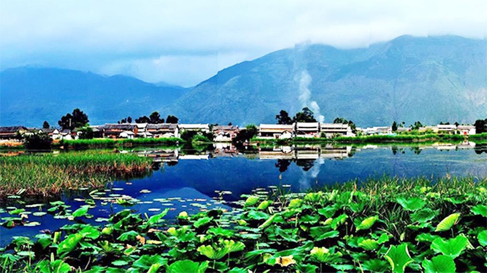 云南这个地方，一顿要吃18斤牛奶，曾被记录在《舌尖上的中国》