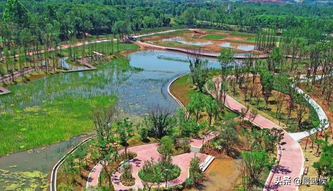 3月底天府绿道哪段最美,天府绿道彩色油菜花