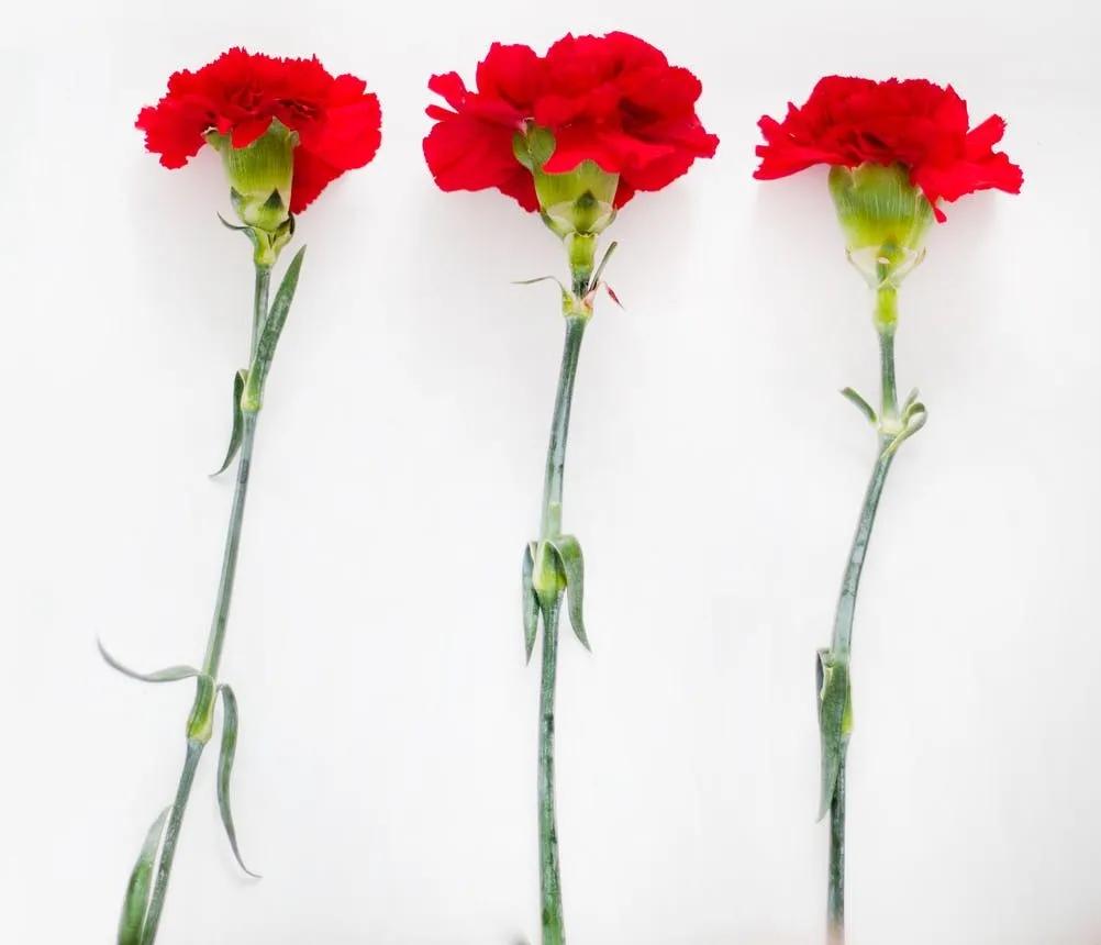 愿岁月静好度细水流年图片,惟愿岁月静好安度细水流年