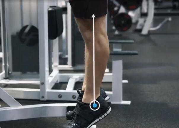 小腿细锻炼小腿肌肉的方法,怎么拉伸小腿小腿才不会外翻变粗