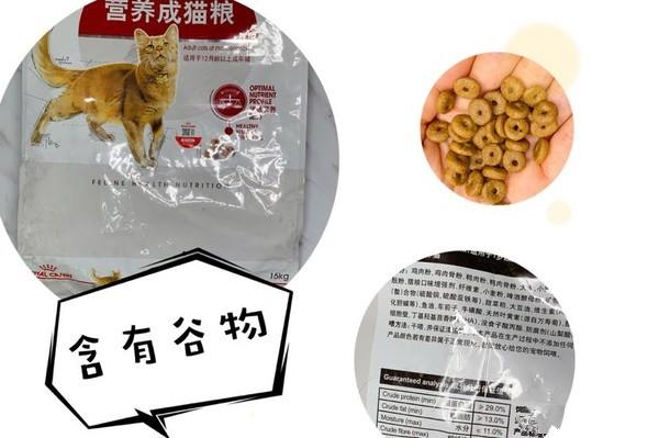 测评养猫,排名前十的猫粮养猫必看