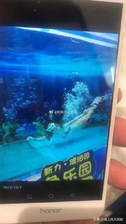 最新笑料合集，哈哈哈哈哈哈哈哈哈哈哈奇怪的知识又增加了