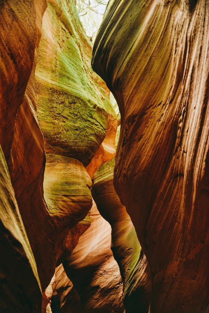 美西大峡谷羚羊谷,羚羊谷之美令人陶醉