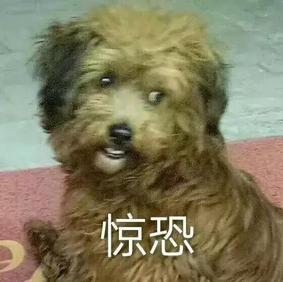 中国动物死亡事件,全国每年有多少动物死亡