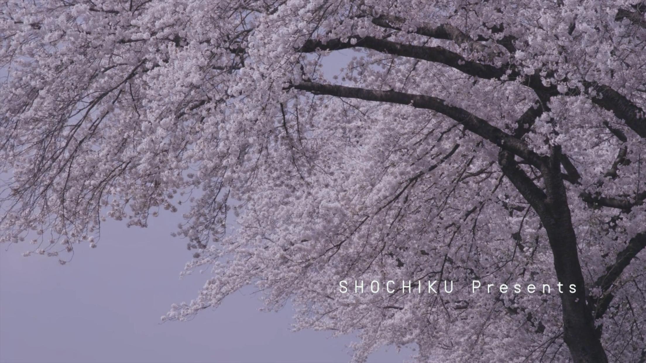 日本清新小森林,小森林的春夏秋冬舌尖上的治愈系