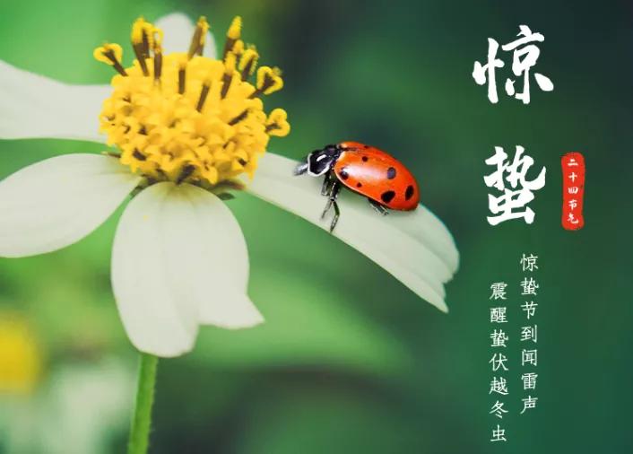 为什么惊蛰这天要打小人,二十四节气惊蛰民间传说