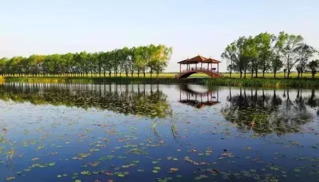 深圳各大公园游览攻略,深圳园博园推荐景点