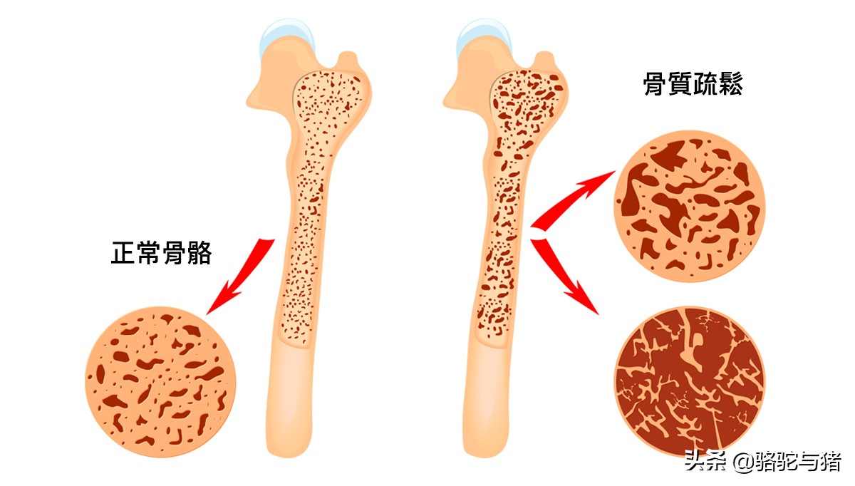 女性30岁之后的「健康4阶段」，要注意不同阶段的身体健康