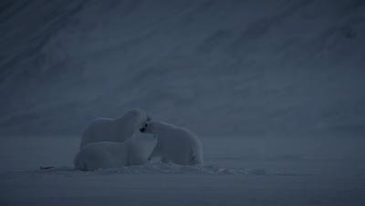 豆瓣netflix电影,bbc地球奇观纪录片