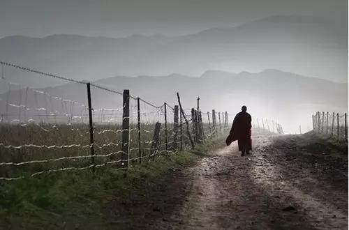 十大经典摄影题材,最好的摄影题材