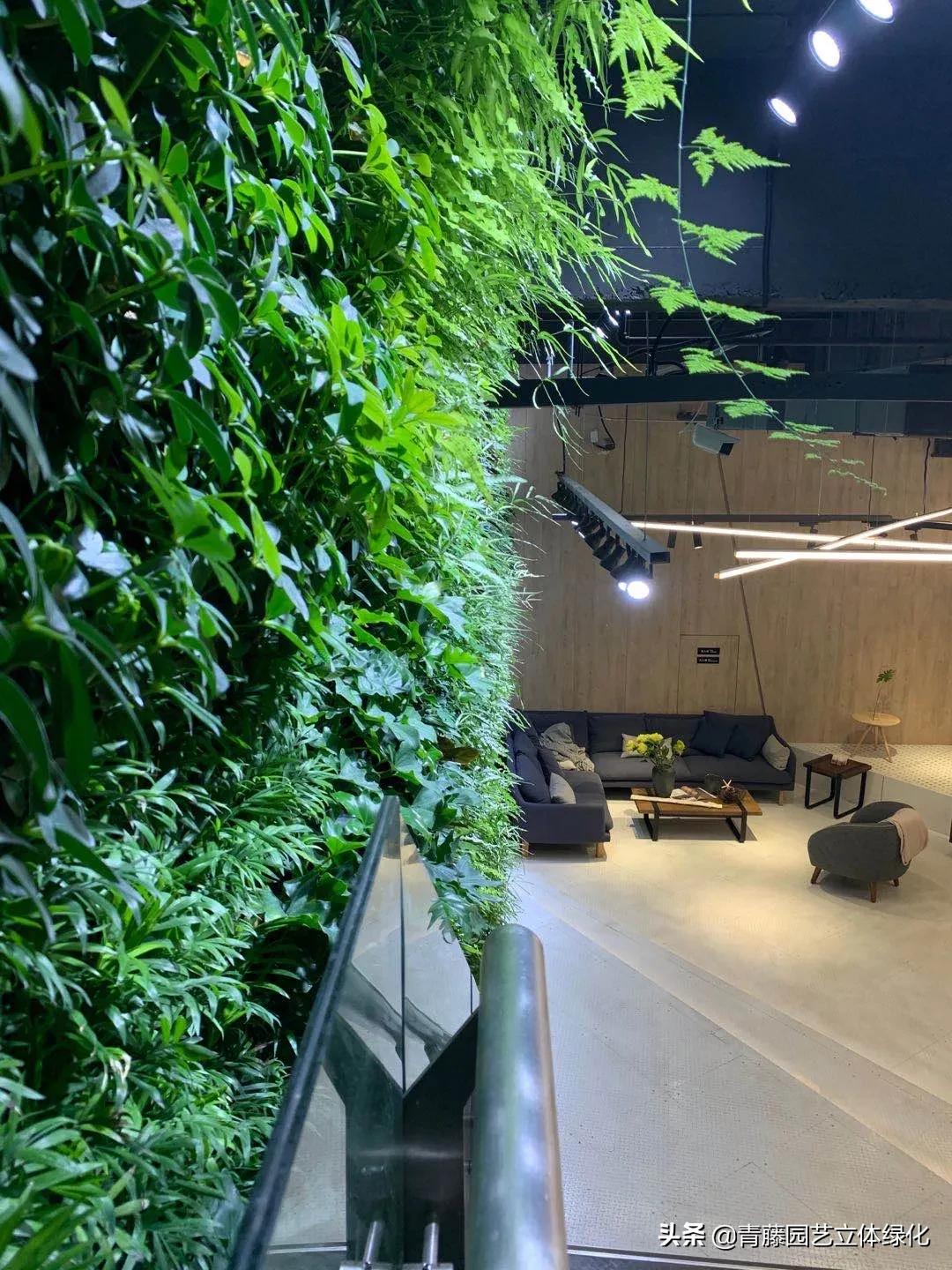 植物墙软装装饰设计,软装墙和植物墙怎么融合