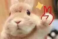 2015-2019全国校园足球特色学校,第一批全国校园足球特色学校名单