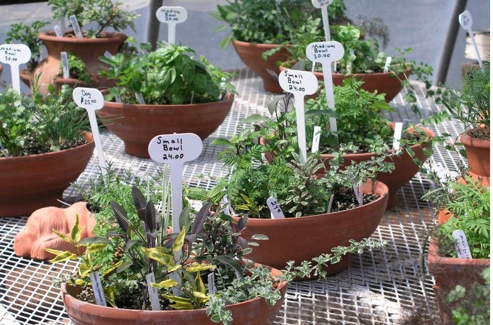 摆地摊什么产品比较好卖,大家都去摆地摊我应该做啥