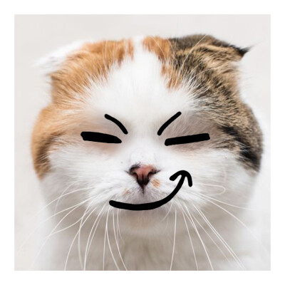 摸猫咪的时候它一直哼哼,要摸猫咪的时候猫咪老是躲怎么办