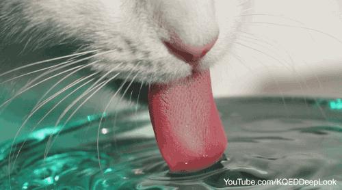 矿泉水敷脸再使用面霜,矿泉水兑护肤水敷脸有什么效果