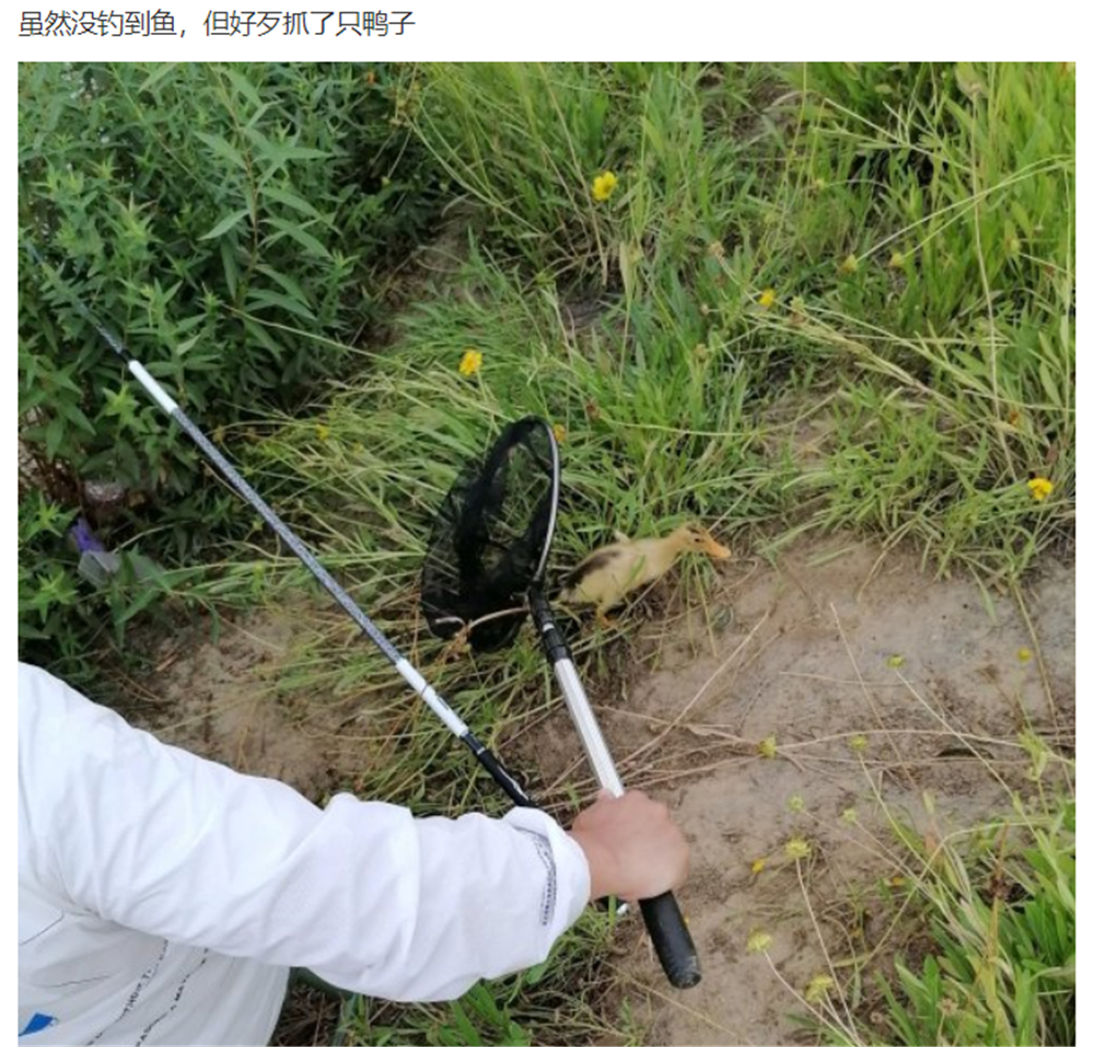 文能提笔安天下武能握枪保家国,文能提笔安天下武能挥刀治国家