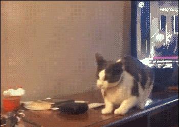 30秒搞定海报,一张海报做10秒酷炫视频