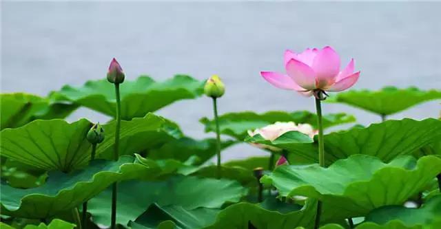 厦门有避暑的地方吗,厦门清凉避暑好去处推荐