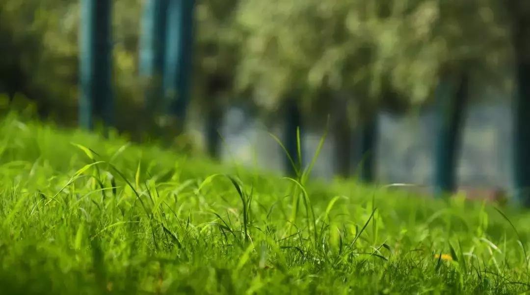 最新！这座城市将发生翻天覆地的变化，身价暴涨