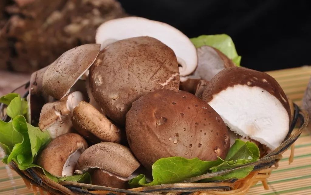 投资少收益快的农村致富项目,农村致富创业项目小本生意投资