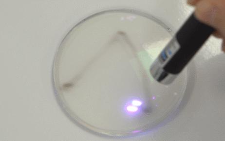 蔡司依视路眼镜店一般打几折,眼镜店蔡司依视路几折