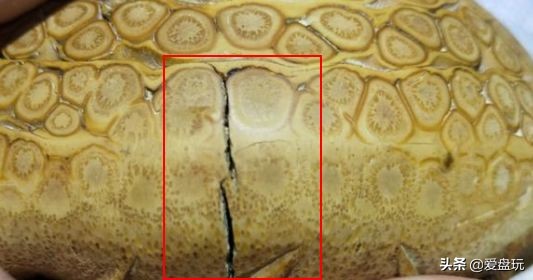 盘玩效果最好的文玩手把件,手把件文玩怎么盘