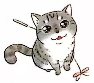 训练猫时可以给猫吃什么,训练猫捕食