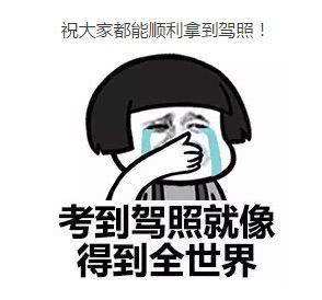 考科目二的心路历程,科目二考过了说说你的感受