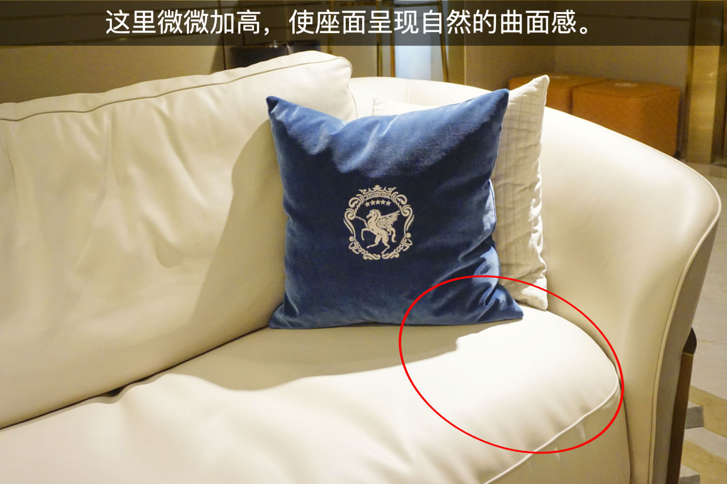 艾伦斯特ALSF-8607沙发测评：淡雅，却不乏有趣的生活情怀