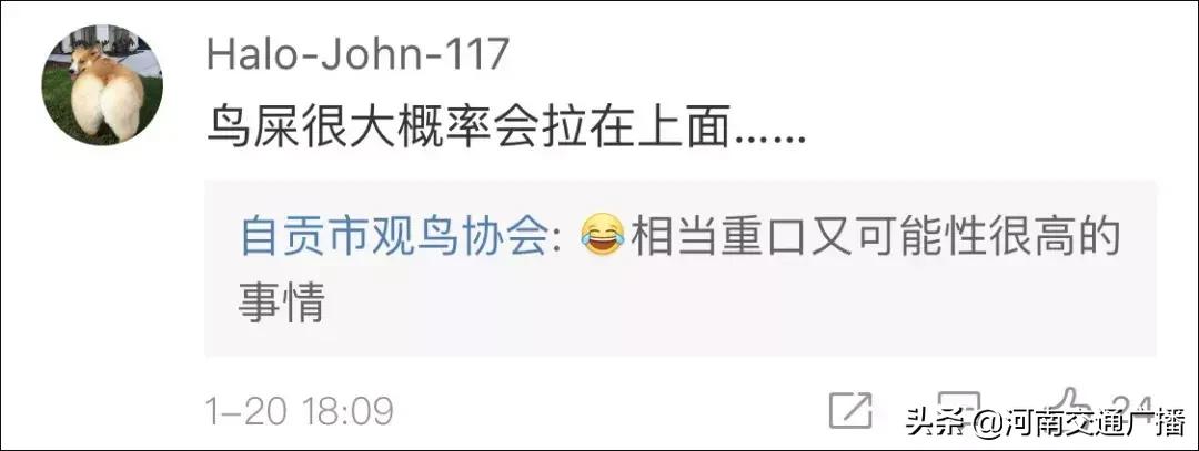 鸟儿偷吃香肠腊肉,香肠腊肉挂外面被鸟吃