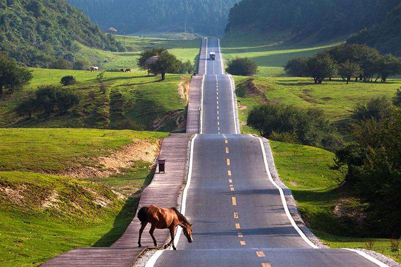 自然之美陶冶人的心灵,用心去感受自然之美