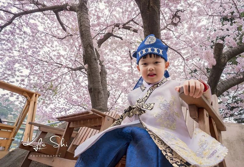 樱花季去日本价格高吗,樱花季去日本旅行