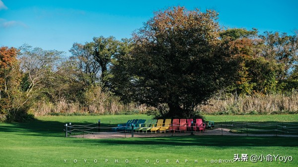 济州岛最值得去的地方,来济州岛第一天去哪玩